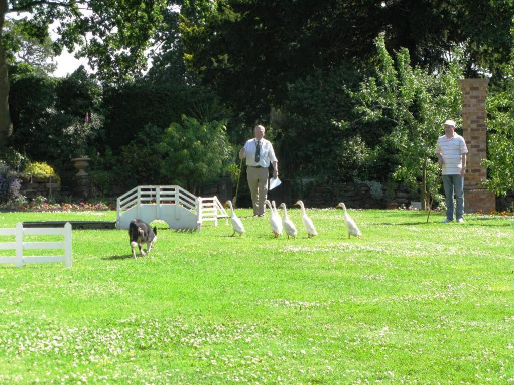 Willington Hall Hotel Tarporley Buitenkant foto